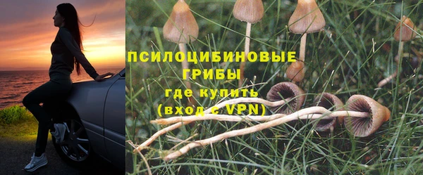 стаф Алексеевка