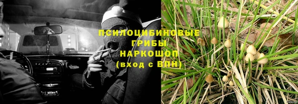 эйфоретик Алзамай