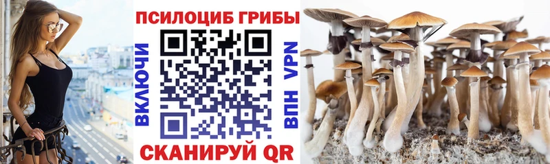 закладка  omg tor  Псилоцибиновые грибы Magic Shrooms  Катав-Ивановск 